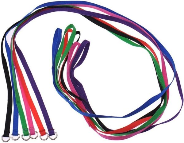 6 Pcs Bulk Pack Slip Leads Dog Pet Grooming Kennel Animal Control Shelter Lead Leash New