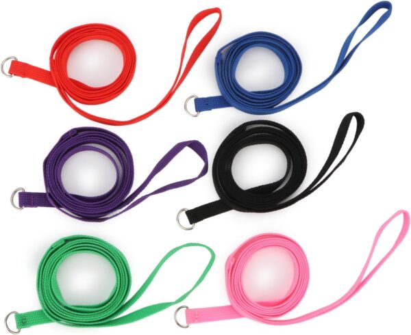 6 Pcs Bulk Pack Slip Leads Dog Pet Grooming Kennel Animal Control Shelter Lead Leash New - Image 3