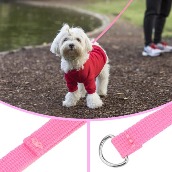 6 Pcs Bulk Pack Slip Leads Dog Pet Grooming Kennel Animal Control Shelter Lead Leash New - Image 4