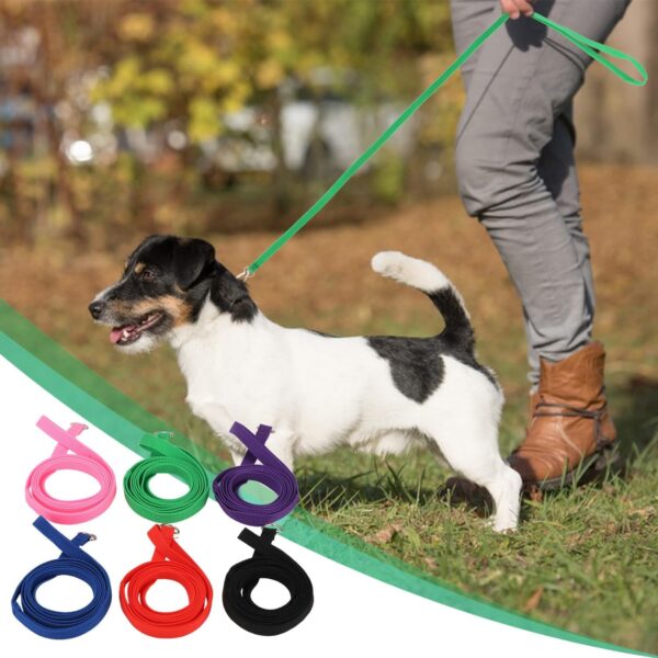 6 Pcs Bulk Pack Slip Leads Dog Pet Grooming Kennel Animal Control Shelter Lead Leash New - Image 5